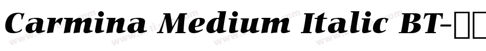 Carmina Medium Italic BT字体转换